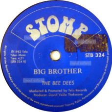 the bee dees -big brother gecomp